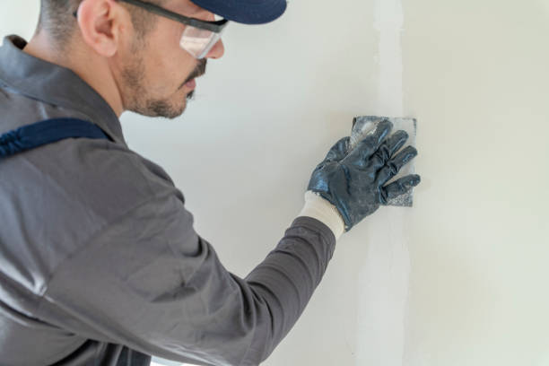 Best Fire-Damaged Drywall Repair  in Safety Harbor, FL