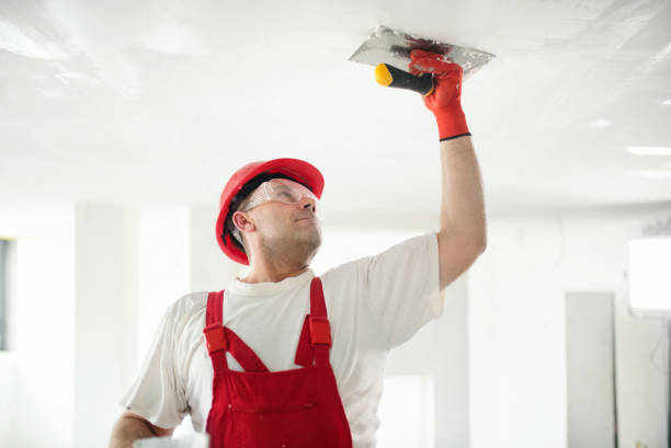  Safety Harbor, FL Dry wall and painting Pros