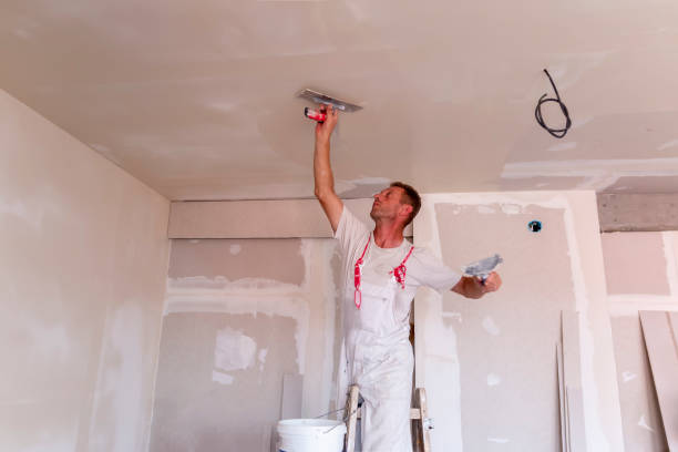 Best Repainting for Renovations  in Safety Harbor, FL